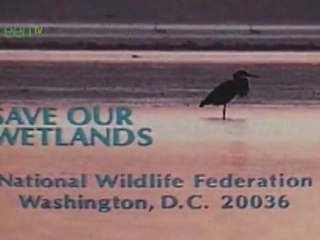 Bing Crosby - Save Our Wetlands