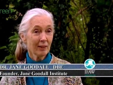 Gaining Ground - In Pursuit of Ecological Sustainability