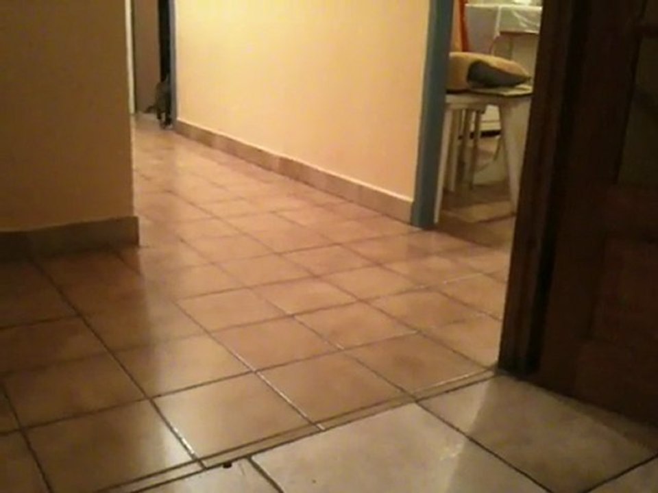 filou