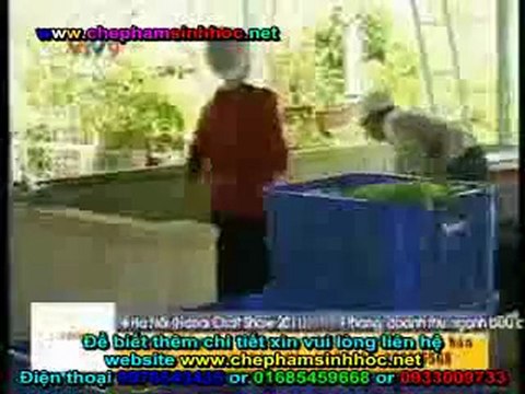 VTV4 - Kết quả sử dụng chế phẩm sinh học Vườn Sinh Thái - Sản Phẩm uy tín - kinh doanh hiệu quả