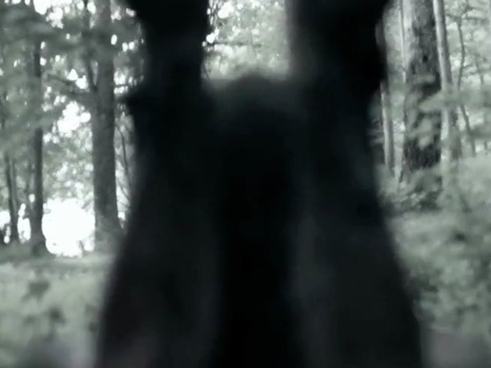 Death Wolf  - "Ironwood" (2012)