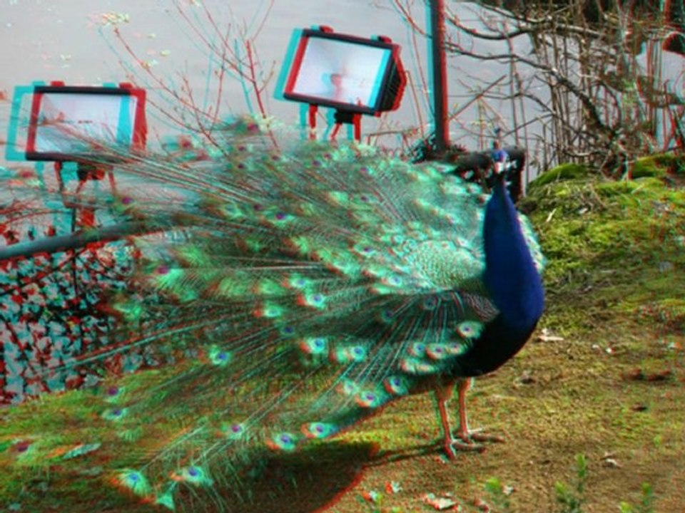 Puy du Fou 3D