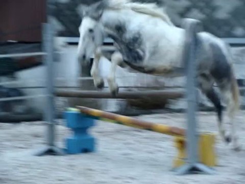 Safran: encore plein de nouveautés... ;-)