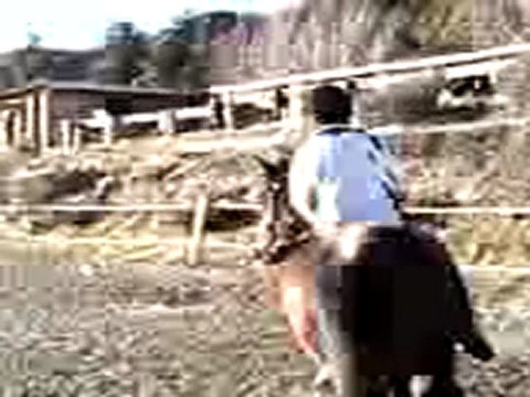 moi qui monte ma jument d'amour