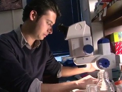 Retour vers le futur : des fourmis supersoldates