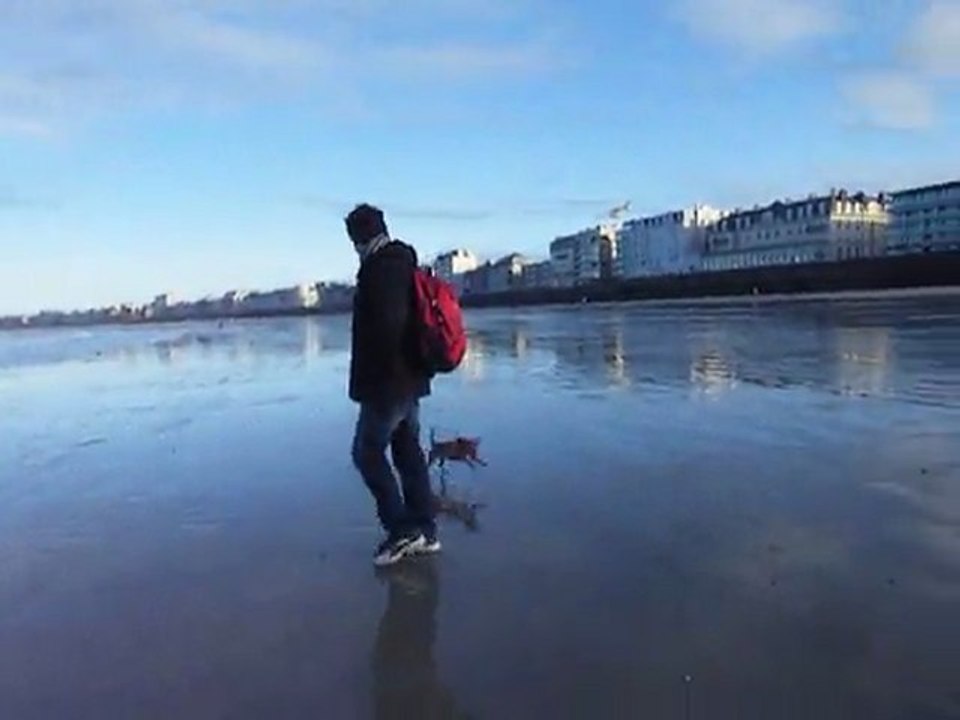 2012_stm08janv (2)