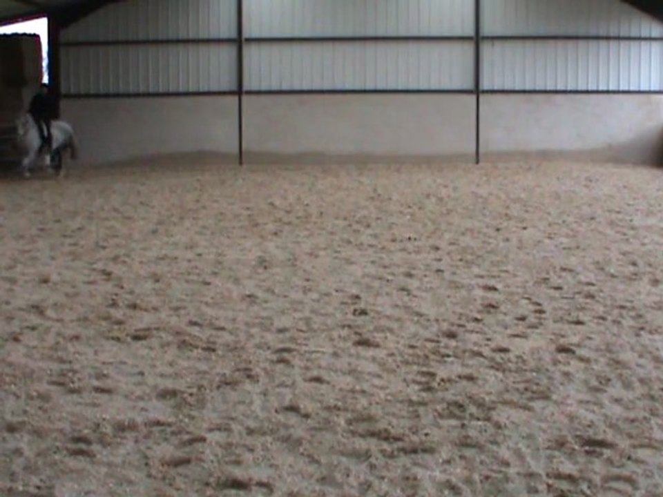 M2U01284 descente d'encolure et début d'extension