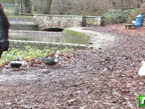 Rantamplan Noir & Blanc Ledoux paradis Télé SPI (B)