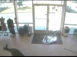 Kroz staklena vrata uletio u dućan!