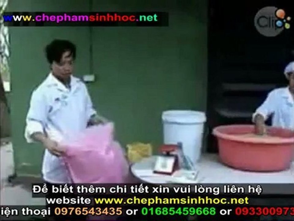 Hướng dẫn sử dụng men vi sinh NN1 để ủ thức ăn tinh cho gia súc, gia cầm 3