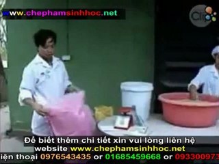 Hướng dẫn sử dụng men vi sinh NN1 để ủ thức ăn tinh cho gia súc, gia cầm 3