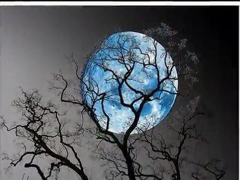 Zalim: Mahsuni-Edip Akbayram