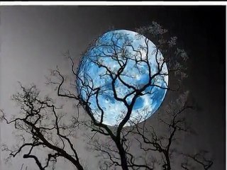 Zalim:  Mahsuni-Edip Akbayram