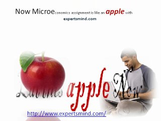 Microeconomics Assignment Help, ExpertsMind.com