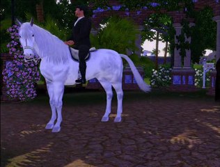 Caballos andaluces  Claro de Luna de Grier