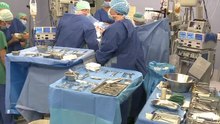 Le foie. De la jaunisse à la transplantation