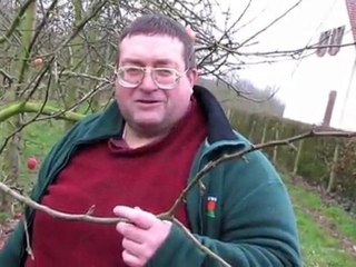 Printemps précoce dans les vergers à Verdelot