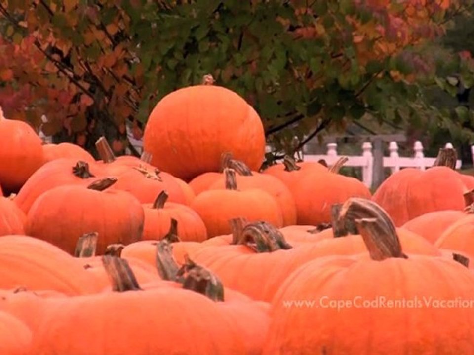 Cape Cod Vacation Rentals