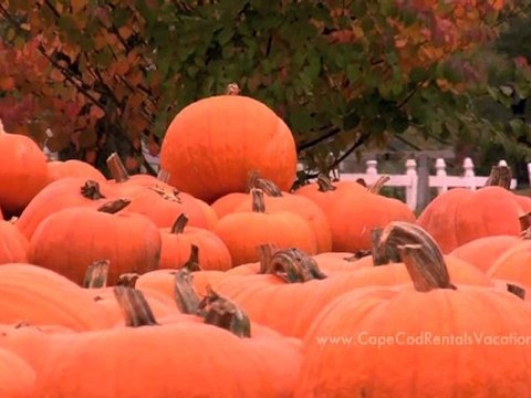 Cape Cod Vacation Rentals