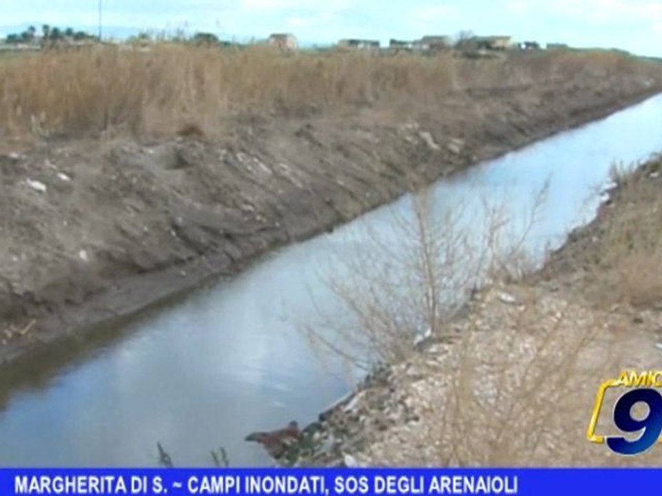 Margherita di Savoia | Campi inondati, SOS degli arenaioli