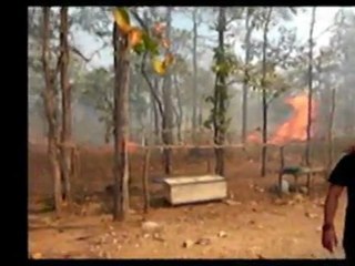 LES ZINGOS EN ASIE PART 10, 11, 12, 13 et 14./14