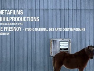 Bestiaire (Dir. Denis Côté) Trailer