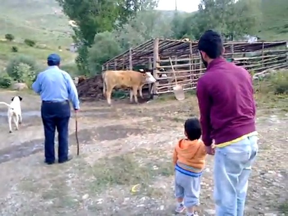 Taharlı Çakırlar Köyde2