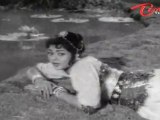 NTR Old Songs | Chikkadu Dorakadu Songs | Kanne Pilla Anagaane | NTR | Jayalalitha