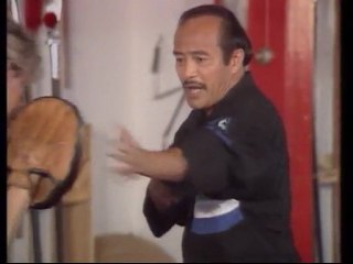 bruce lee , la fureur des poings (2 et fin)