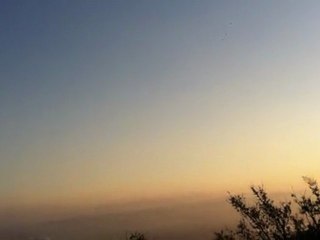 The birds fly towards the sunrise, the sun always