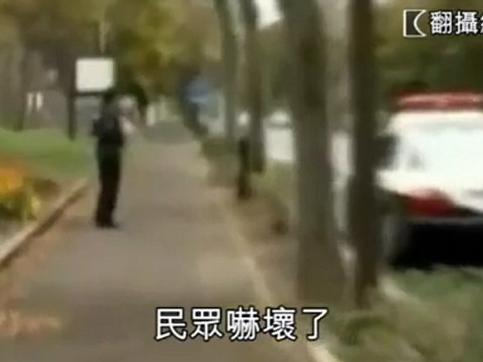 Hungry bears found eating graveyard corpses