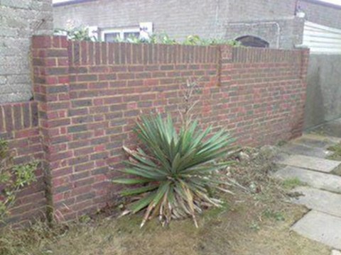 Moss Removal Service Powys, Hereford, Leominster, Pressure/Jet Washing Service