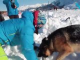 Actu des Stations - Journée Spéciale Chiens d'Avalanche