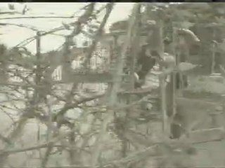 Bande Annonce Festival "Il était une fois..."   (2012)