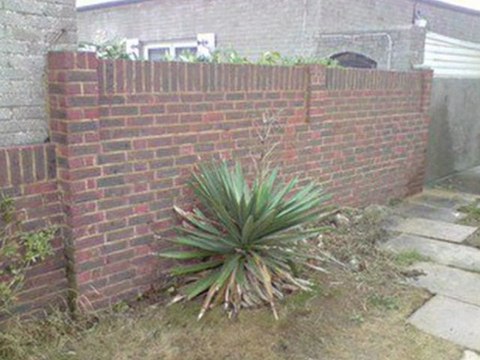 Captain Jetwash, Roof Cleaning, Driveway Cleaning Patio Cleaning
