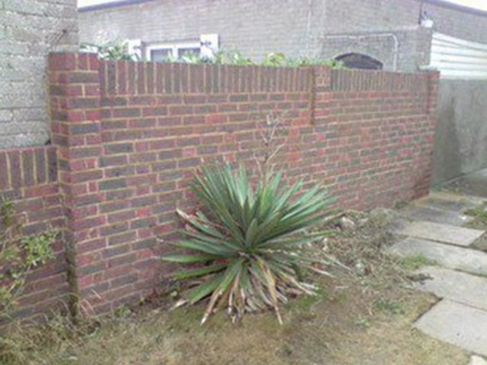 Captain Jetwash, Roof Cleaning, Driveway Cleaning Patio Cleaning