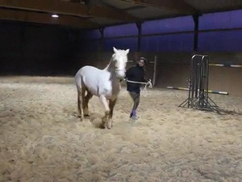 Travail au sol avec Tra'Tra'