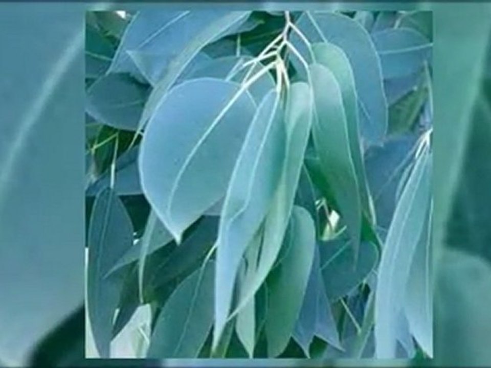 Mode online shopping Lyocell so sanft wie Seide