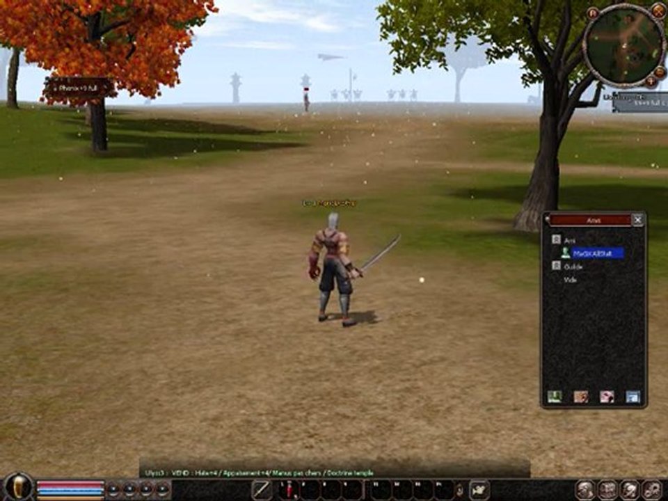 Foutage de gueule Metin 2