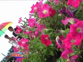 Свадебное видео