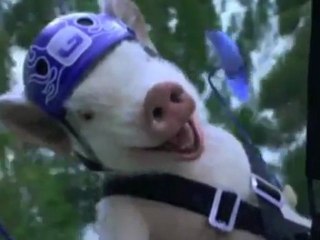 "WE"- Anuncio - Y A Ti Te Gusta WE? ( Parte 2)