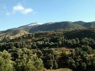 dar el hamra /sefrou