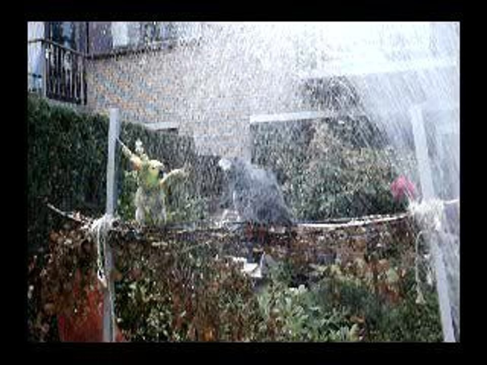 6 september 2006 043