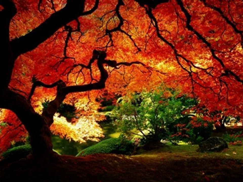 Yiruma - River flows in you