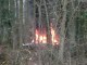 incendie dans la forêt du Bois des Grais à Magny les hameaux - 2