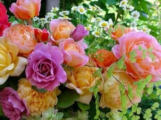 Tülay Özer   Kirac - KOLAY VAZGECMEYI ÖGRENDIM -