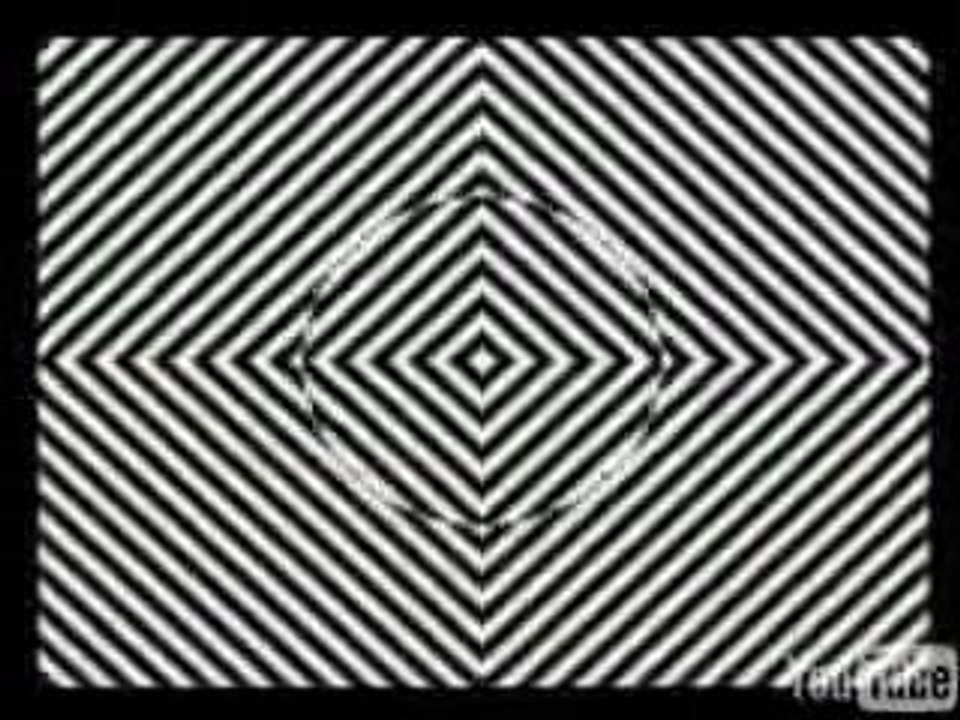 Optical Illusion Causes Hallucination