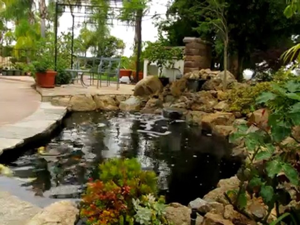 Natural Rock Waterfall and Koi Pond with Disappearing Edge in Rancho Santa Fe