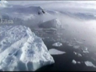 Kutupta yaşayan canlılar