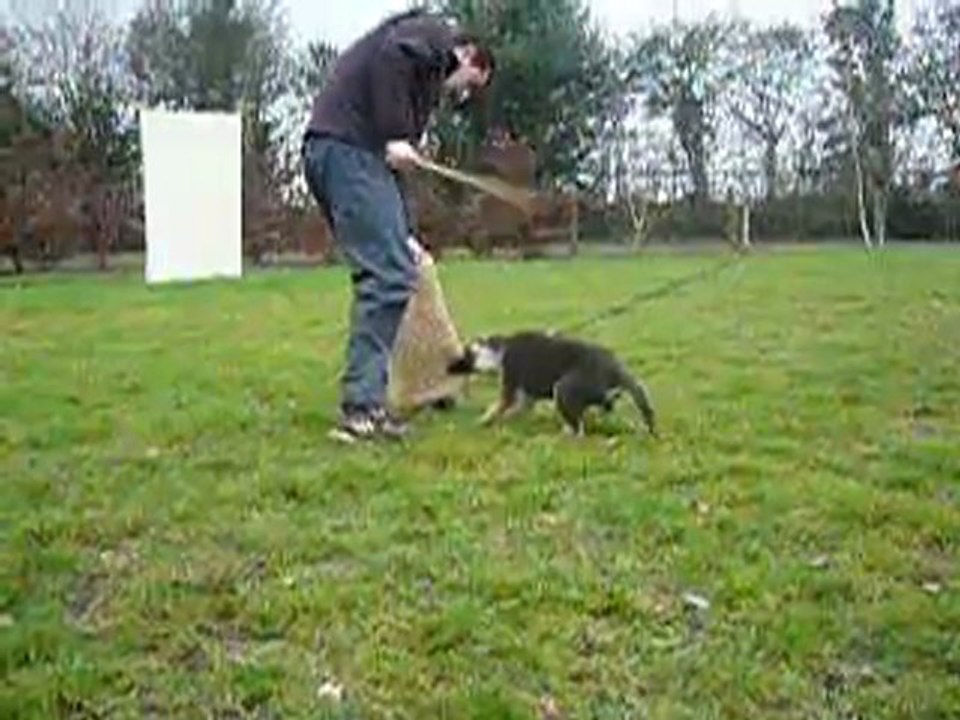 Ghost OF NOUNOURS DE L' ODYSSEE GEMMOISE 3 MOIS